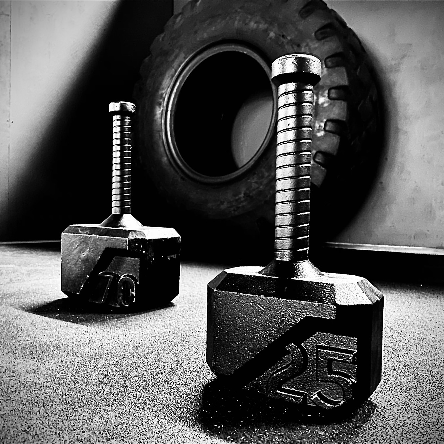 [background image] image of fitness setting (for a gym)