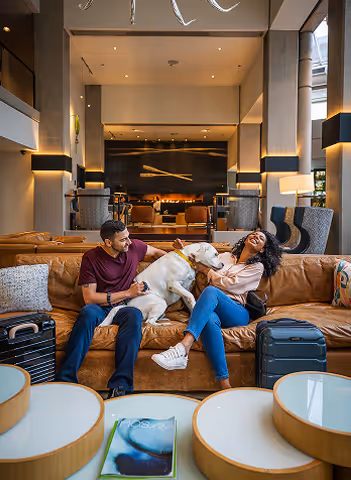 A happy couple in a hotel lobby with their dog on a couch.