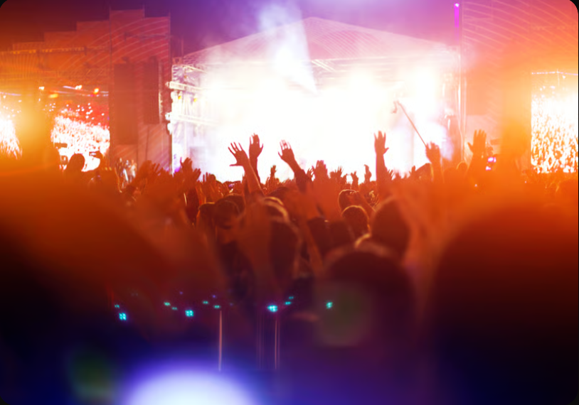 Energetic crowd enjoying live music