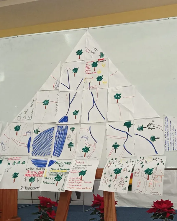 Building Local Capacities