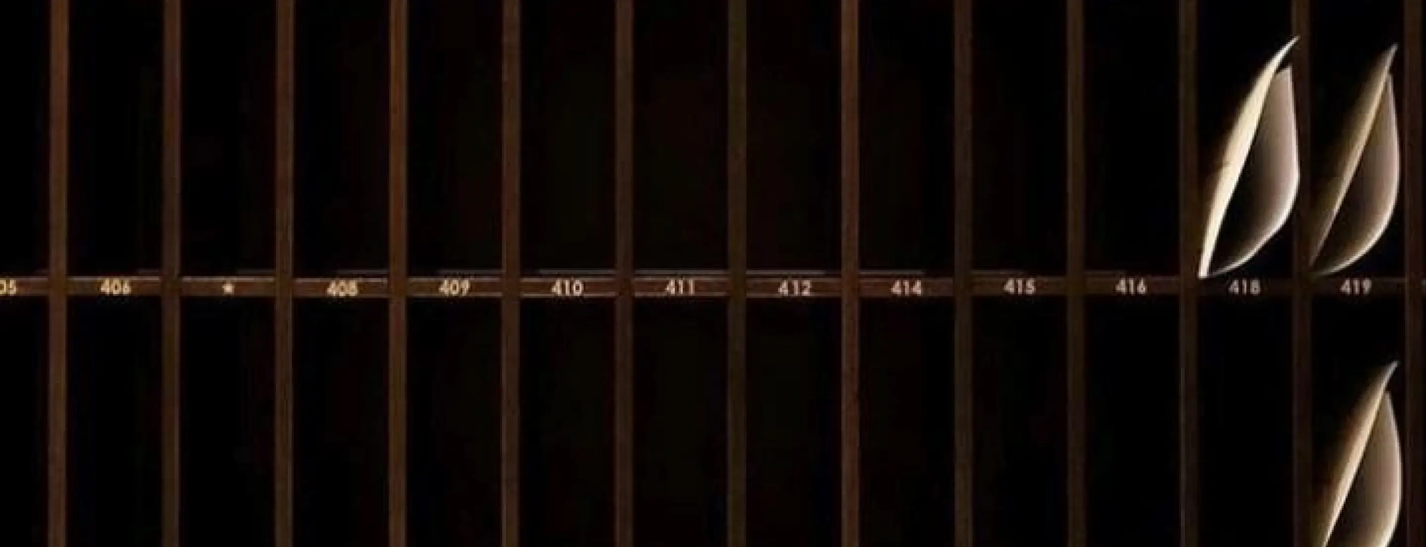 hero_bg