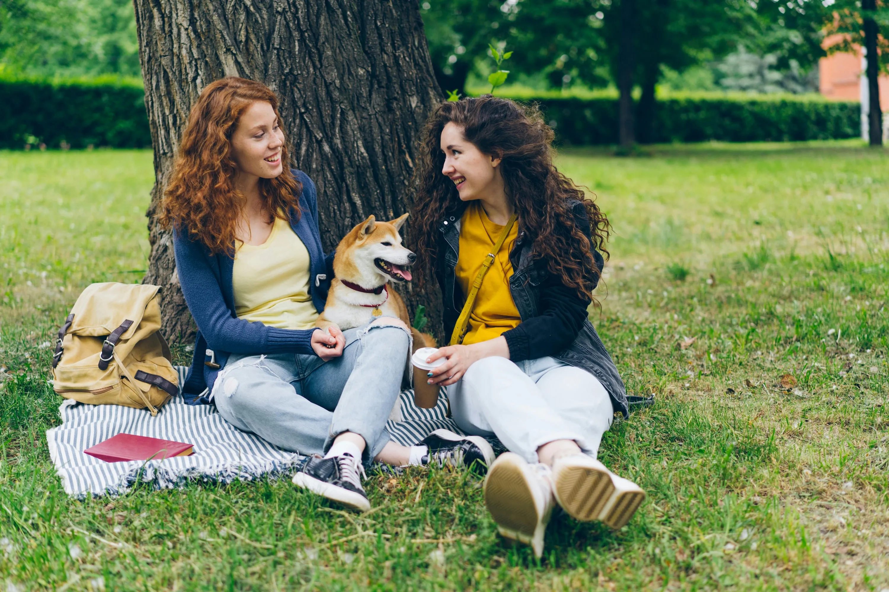 Friends in the Park Stock Photo