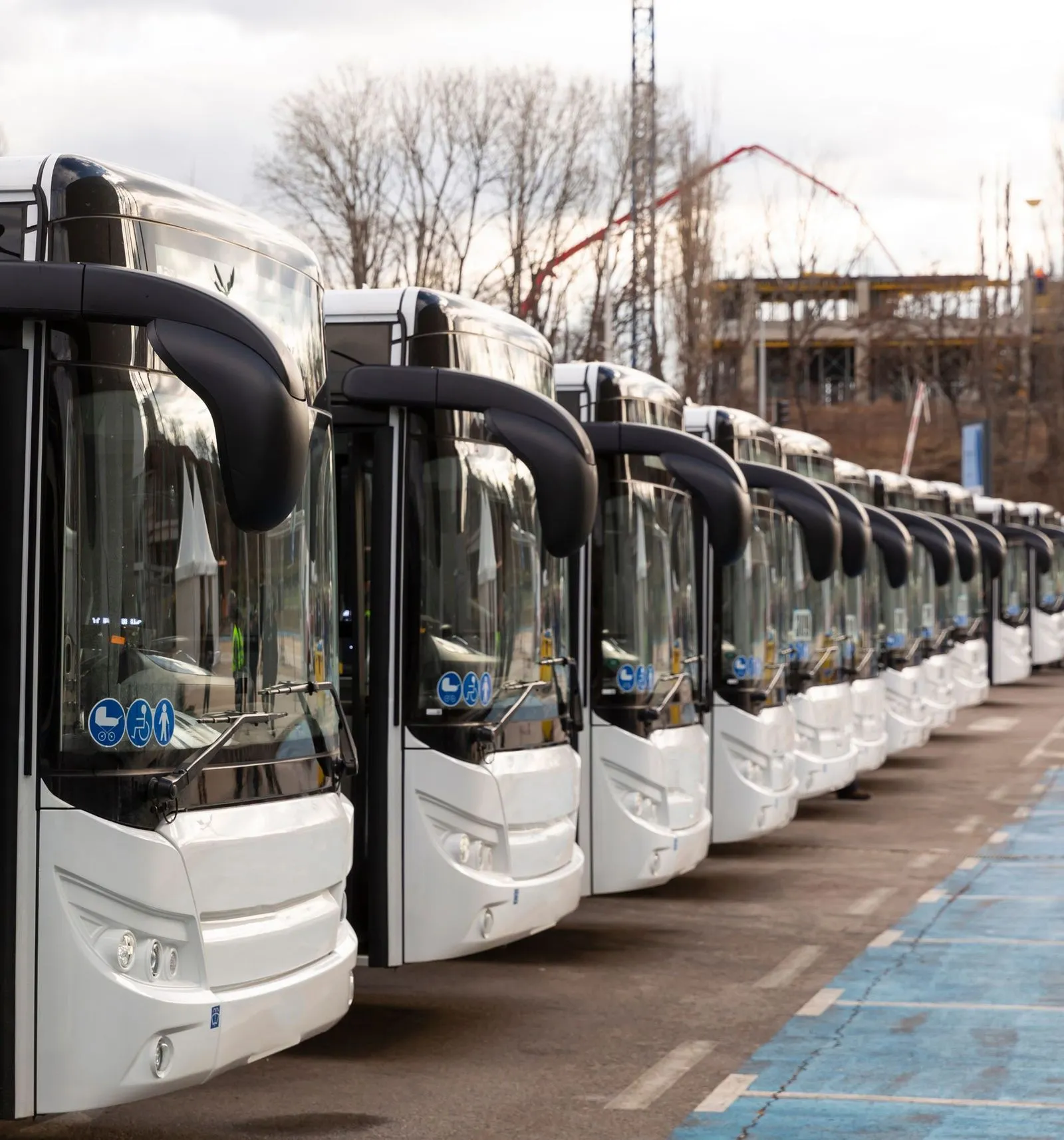 An all electric public transit fleet