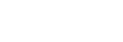 White logo featuring “The Block Island Ferry” text beside a waving flag marked “N” and a circular badge reading “90+ Years.”
