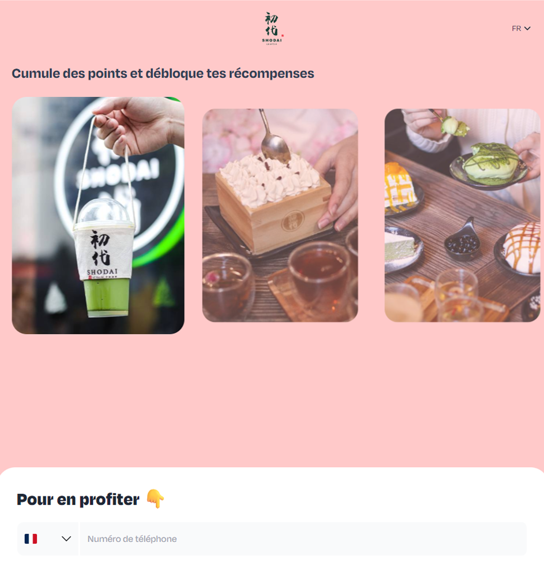 programme fidélité - shodai matcha