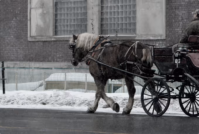 Horse pulling cart historical looking image