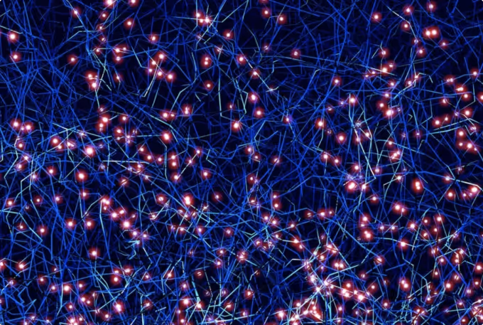 Network of information nodes