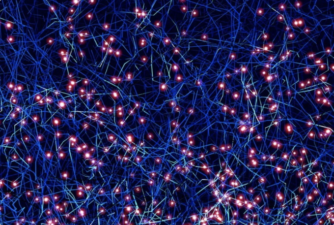 Network of information nodes