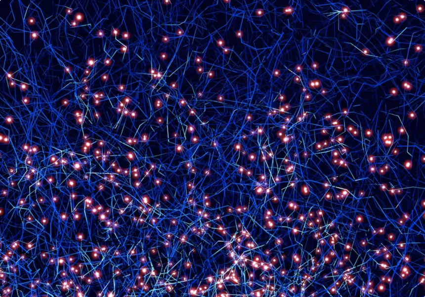 Network of information nodes