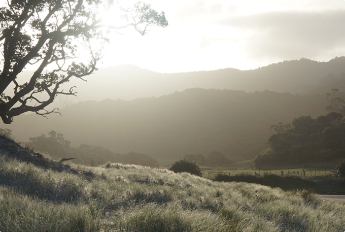 Morning sunrise in nature