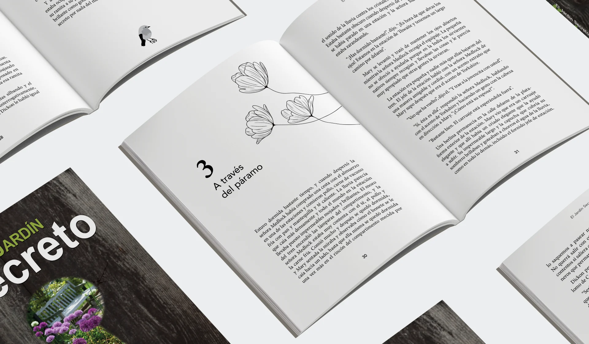 Book layout cover design editorial design services