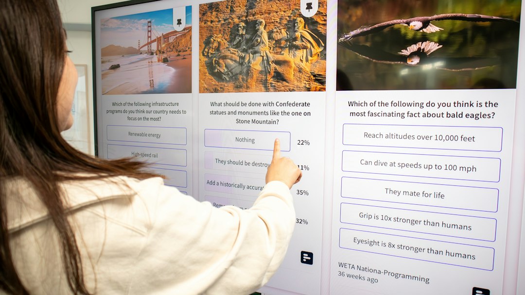 interactive timeline embed