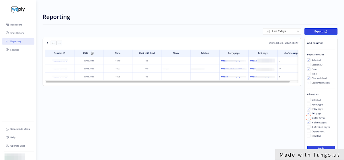 This is the reporting window