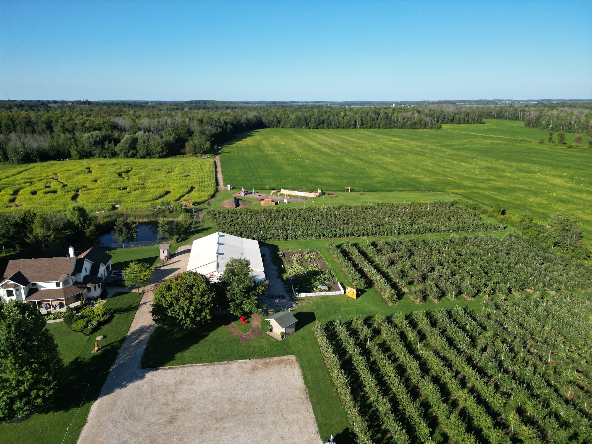 An aerial view of the orchard, store, and play area
