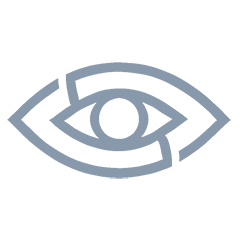 Eye Icon