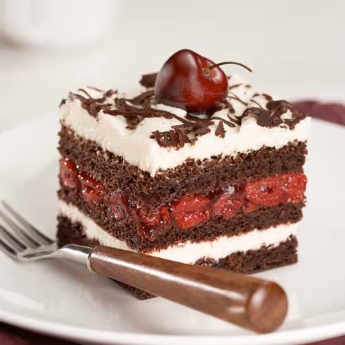 A piece of chocolate cake with cherry filling.