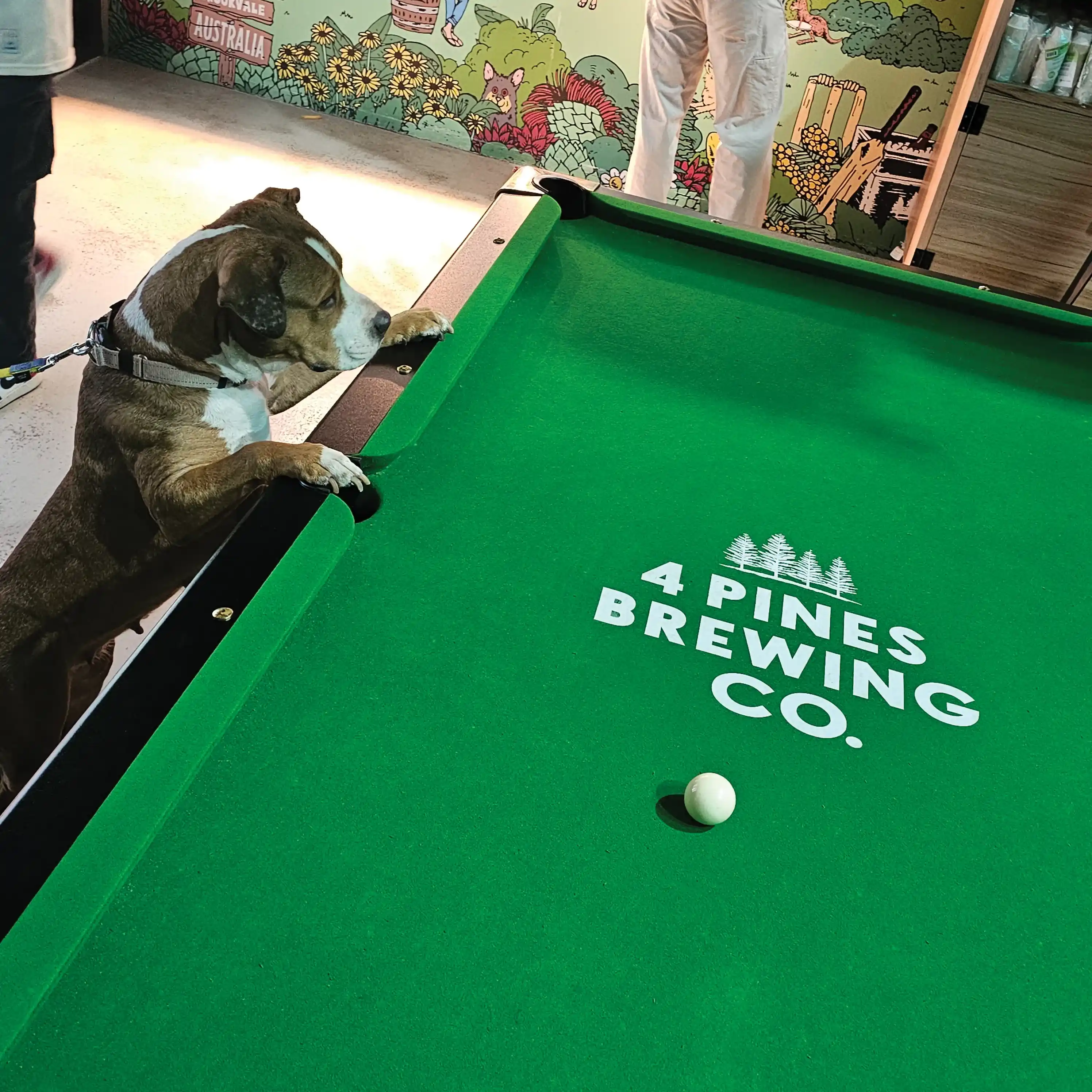 Brewed Here, Loved Here: 4 Pines Truckbar