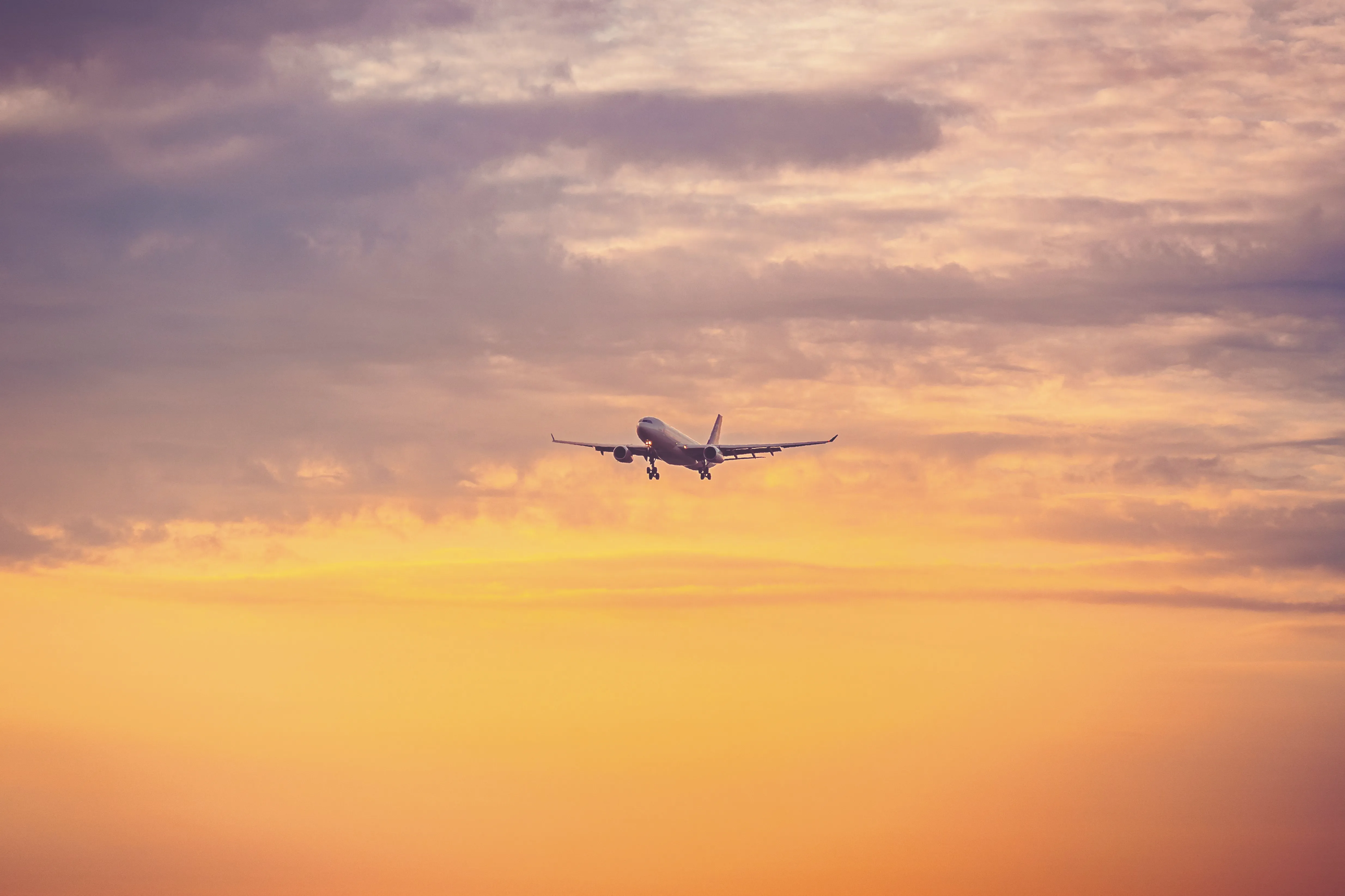 Ed's Express: Avalon's Most Reliable Airport Run