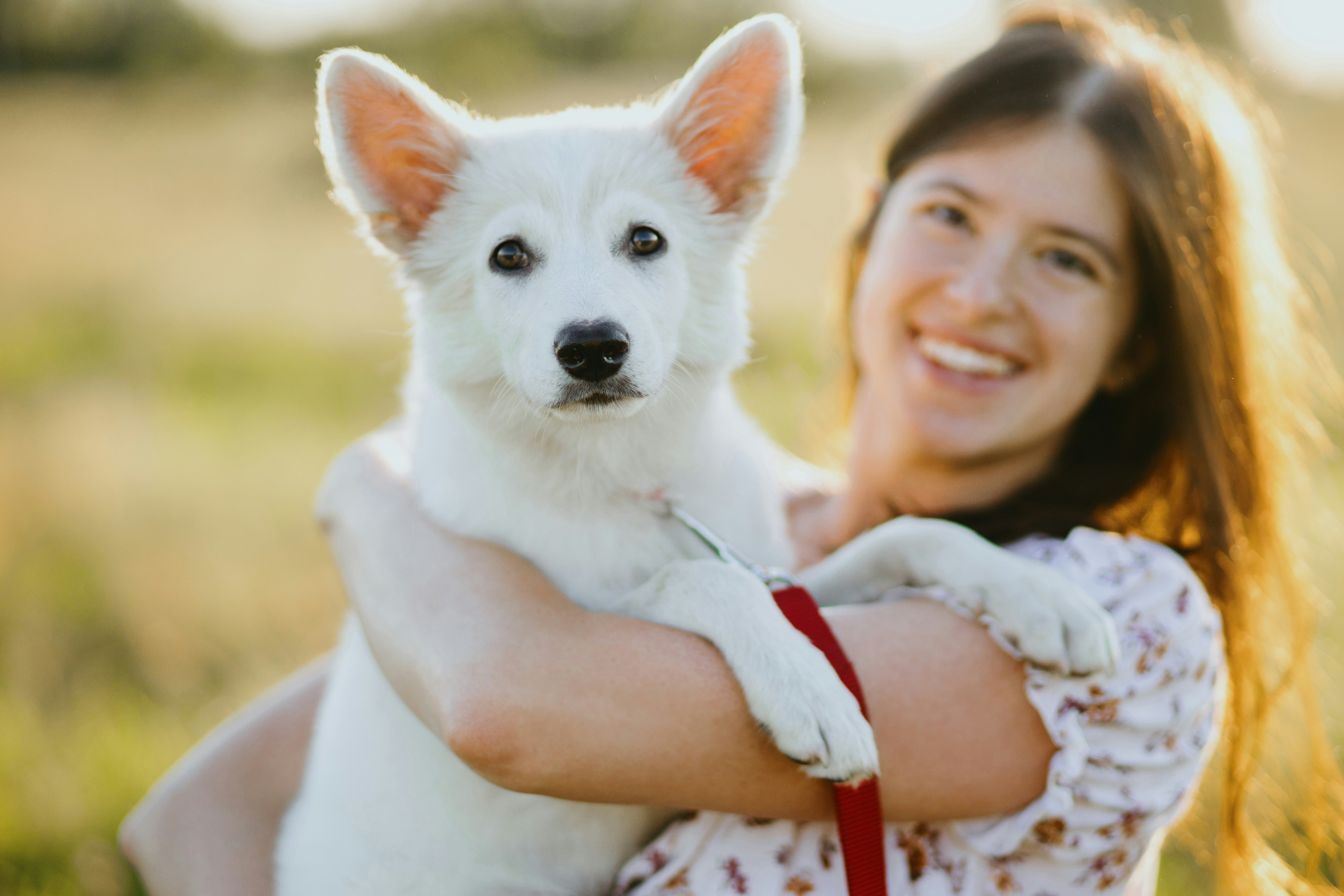 Sydney Animal Hospitals: Every Member of the Family Covered