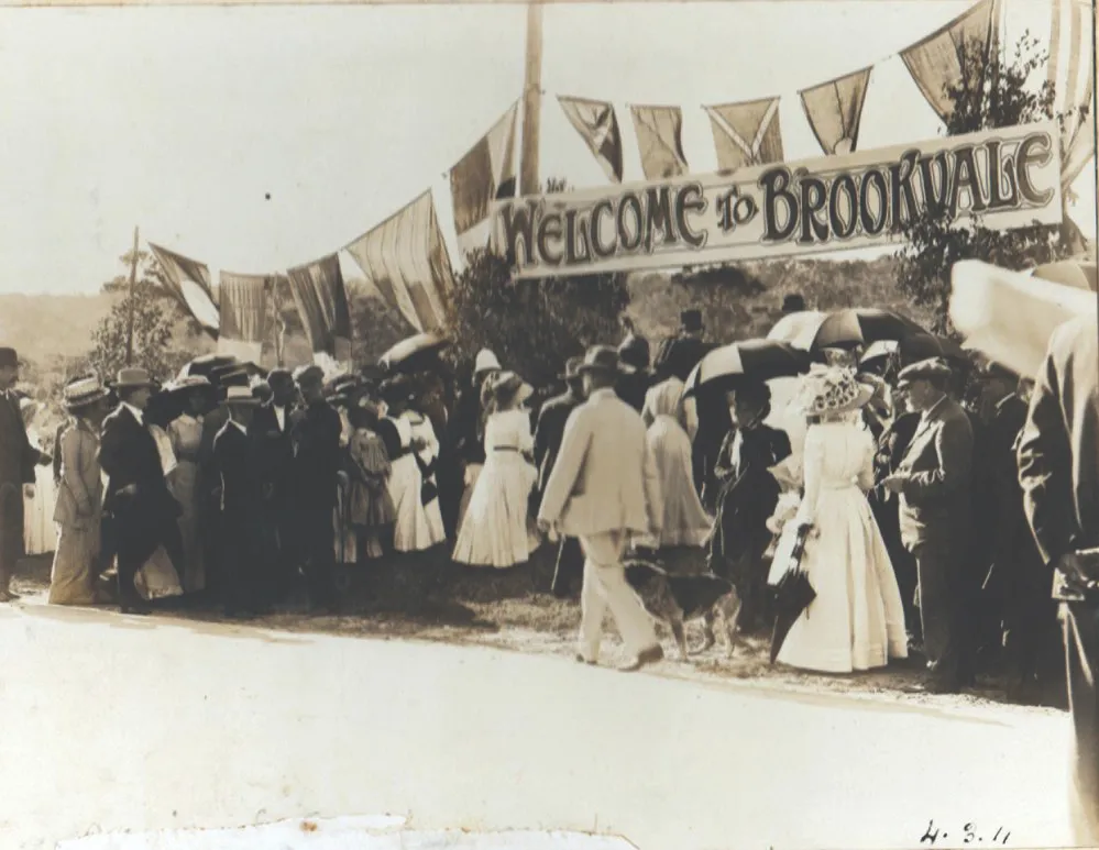 Brookvale Rising: How an Industrial Suburb Became the Beaches' Best Night Out