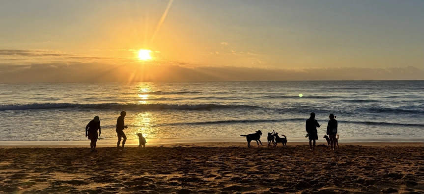 Mona Vale Beach (south) Dog Off-leash Area