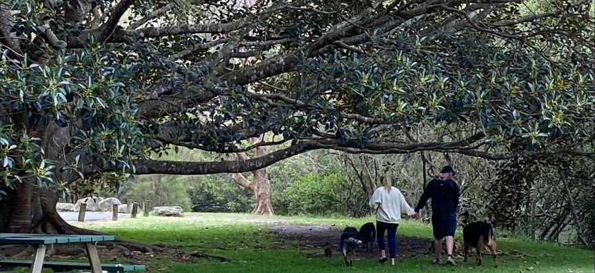 McCarrs Creek Reserve Dog Off-leash Area