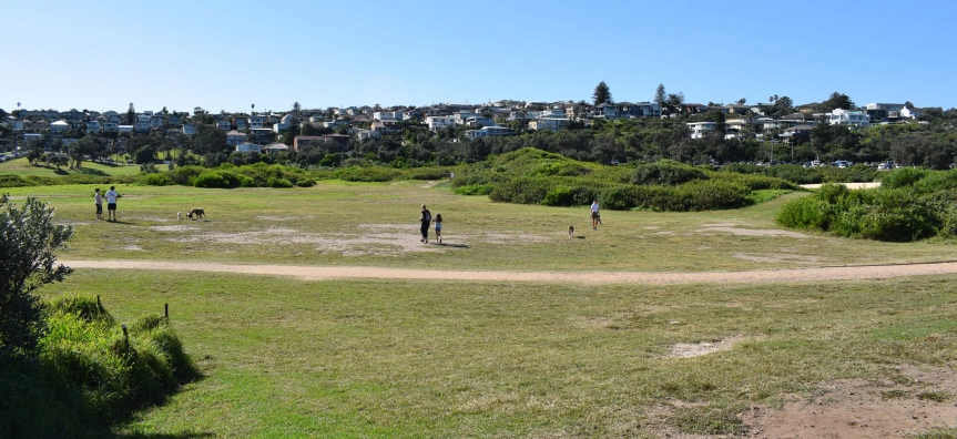 Flora and Ritchie Roberts Reserve