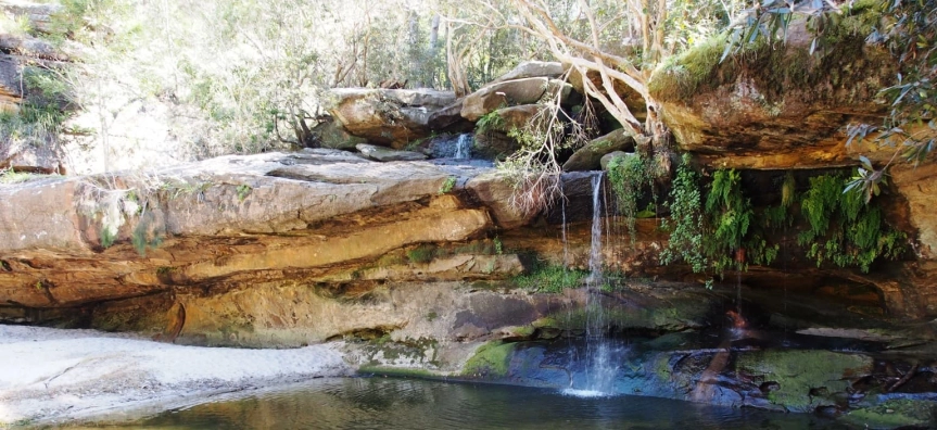 Irrawong Reserve and Waterfall