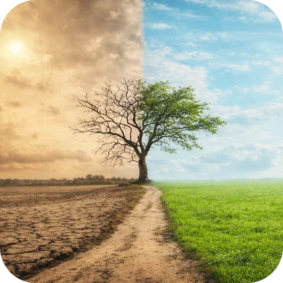 The Thermostat Effect