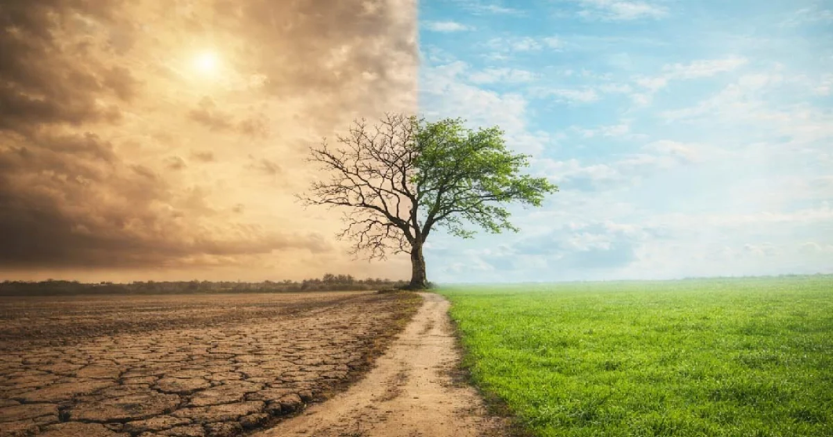The Thermostat Effect