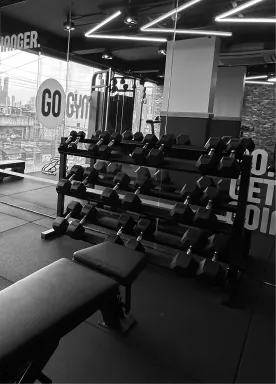 A background photo of GoGym