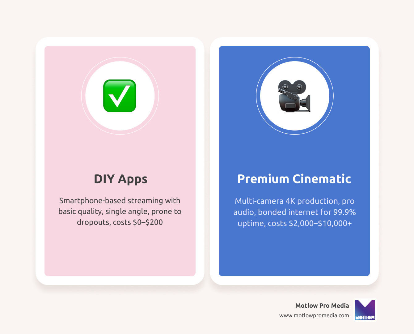 Infographic comparing wedding streaming service options and typical cost ranges infographic Infographic comparing wedding streaming service options and typical cost ranges infographic
