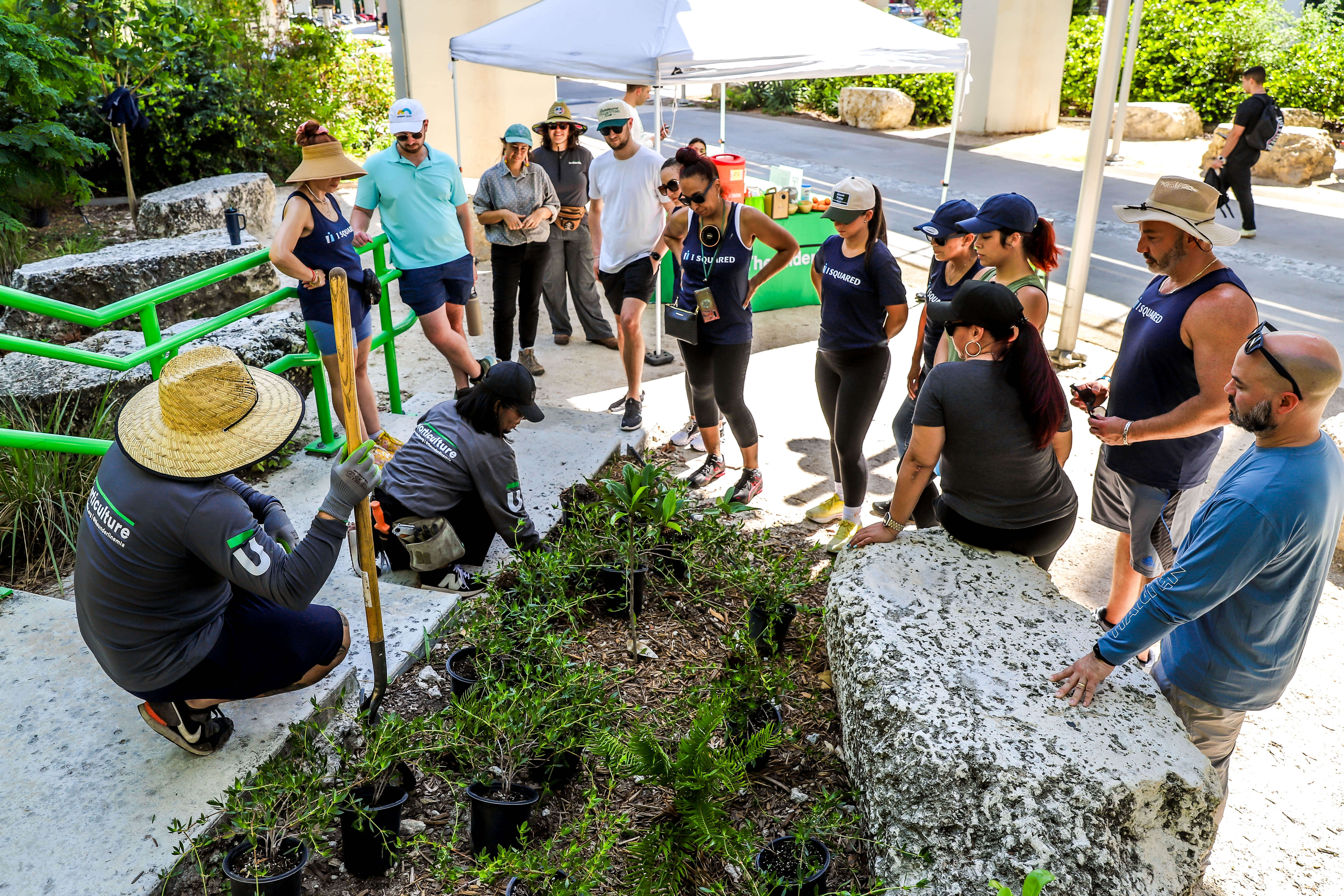 Group of people gathered outdoors around a garden bed with potted plants, some kneeling and planting, others standing and observing under a white canopy.