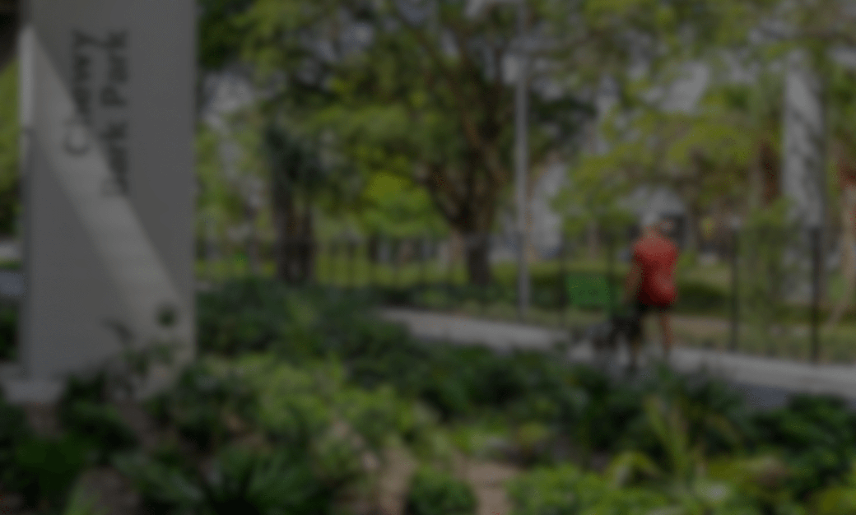 Man in red shirt walking a dog on a paved path in a green park with trees and plants.