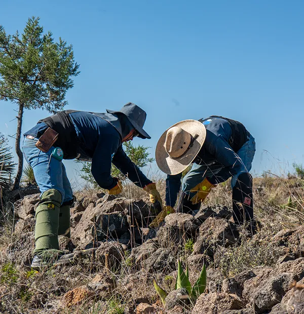 Community-Owned Territory