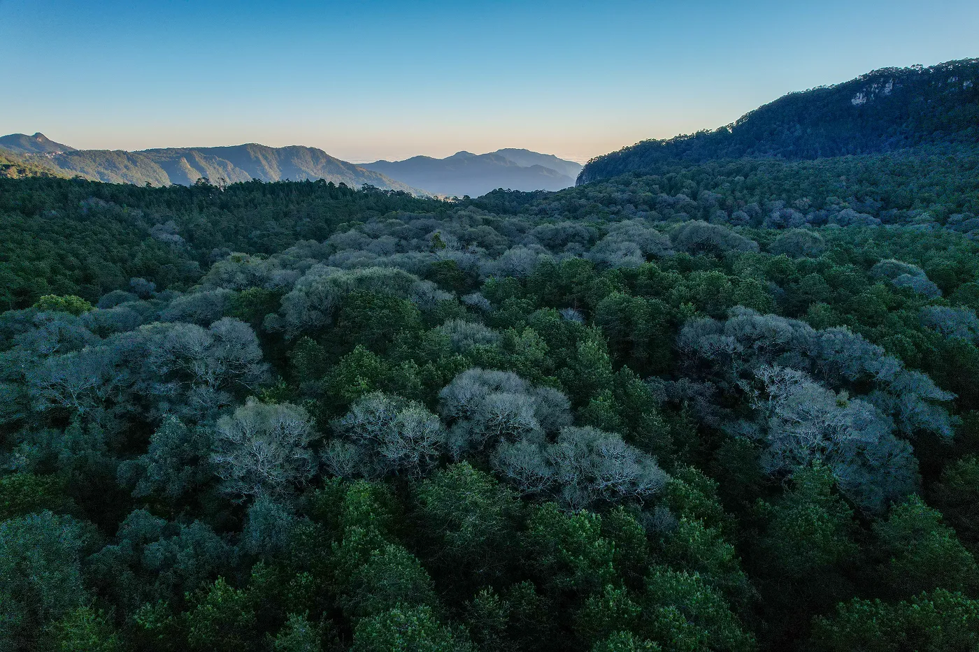 Holistic Ecosystem Design