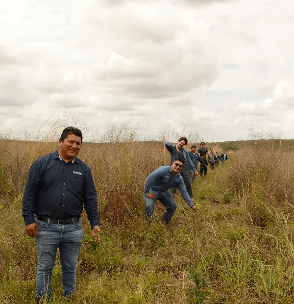 Collaboration that empowers