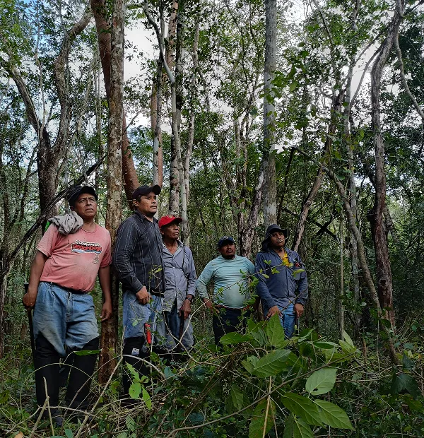 Community-Owned Land