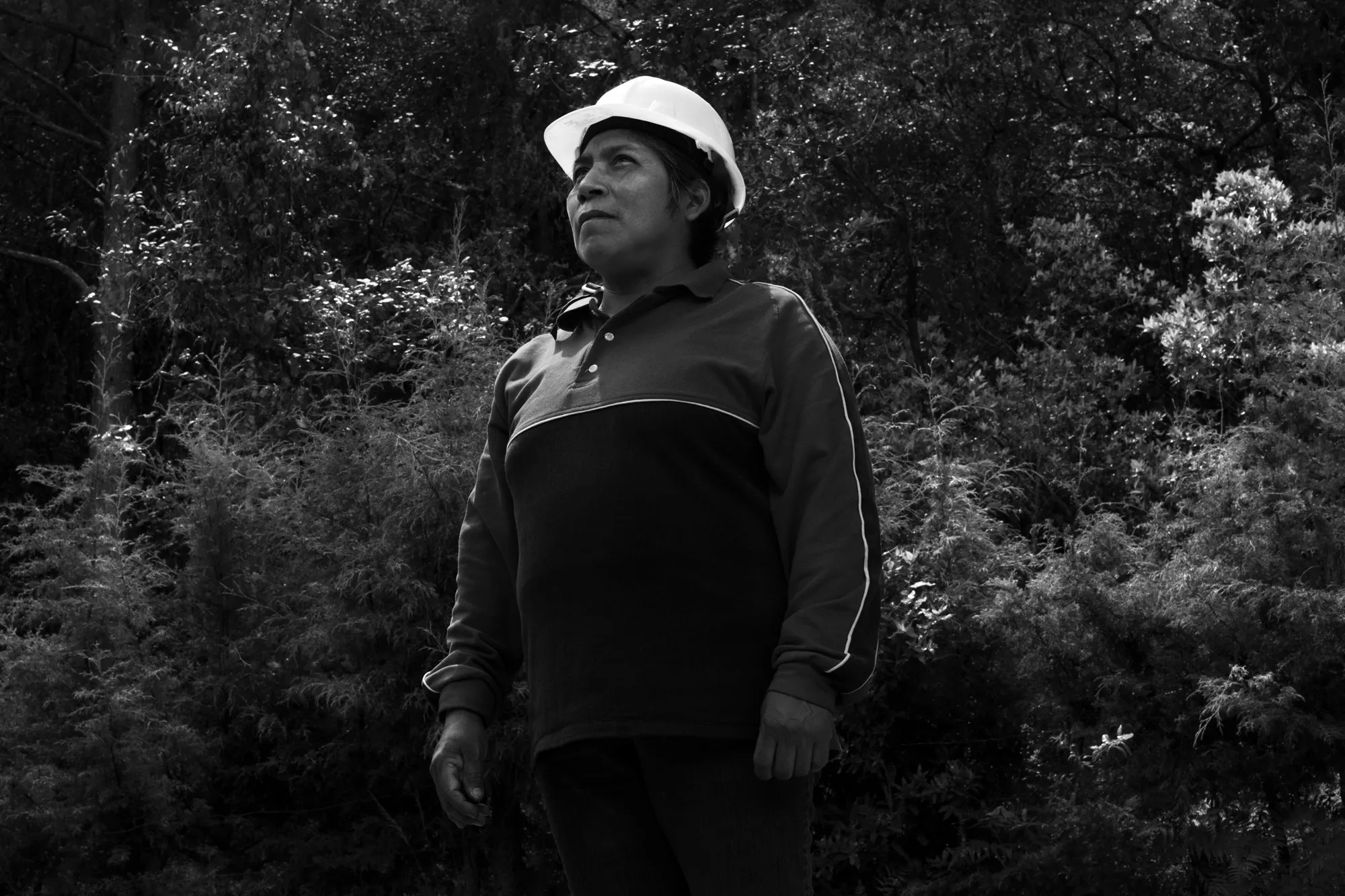 Dear Mario Molina: We'll Lead by Example