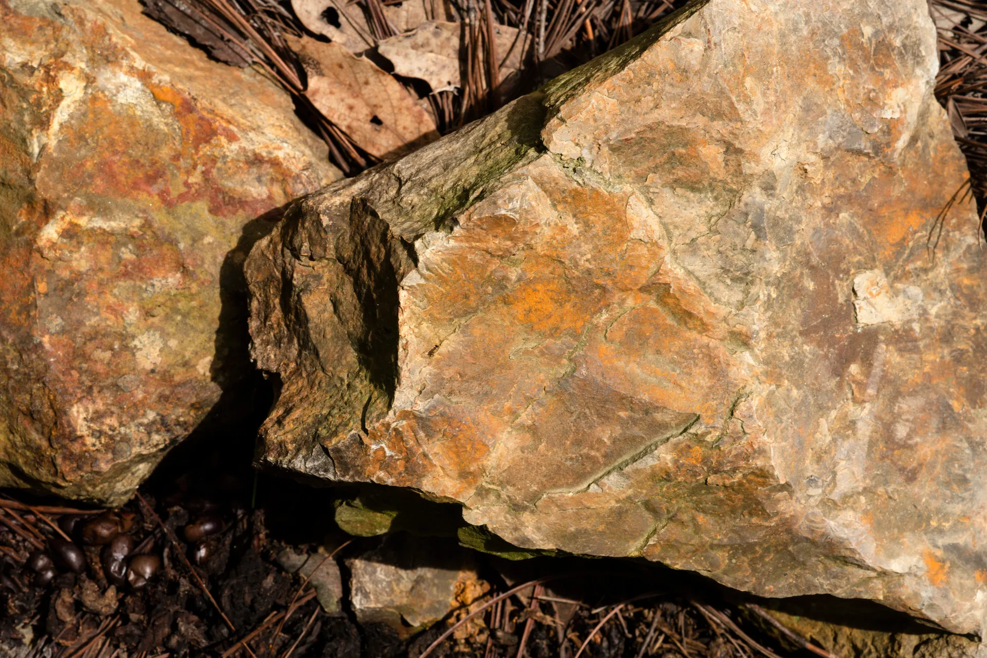 Our Digital Carbon Footprint