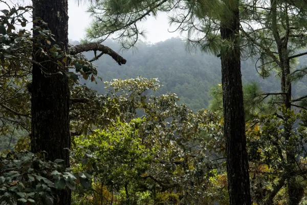 My Health and the Health of the Planet