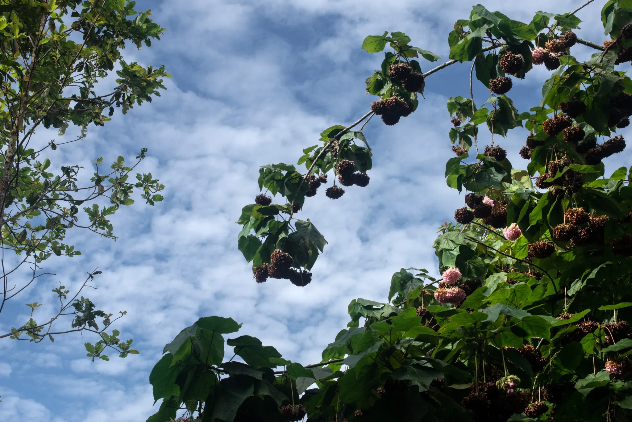 The letter that Larry Fink wrote in 2021