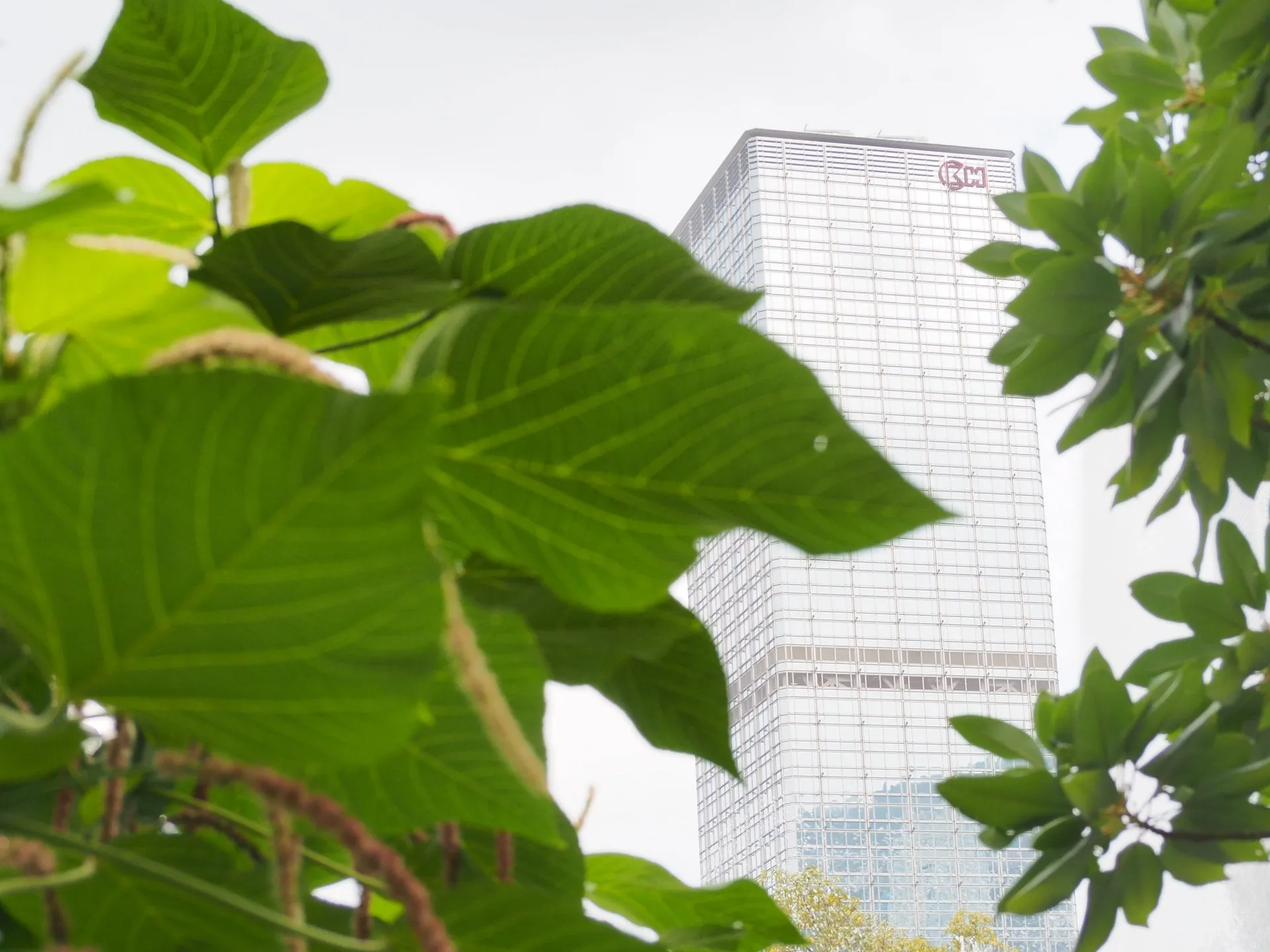 Companies Becoming Carbon Neutral