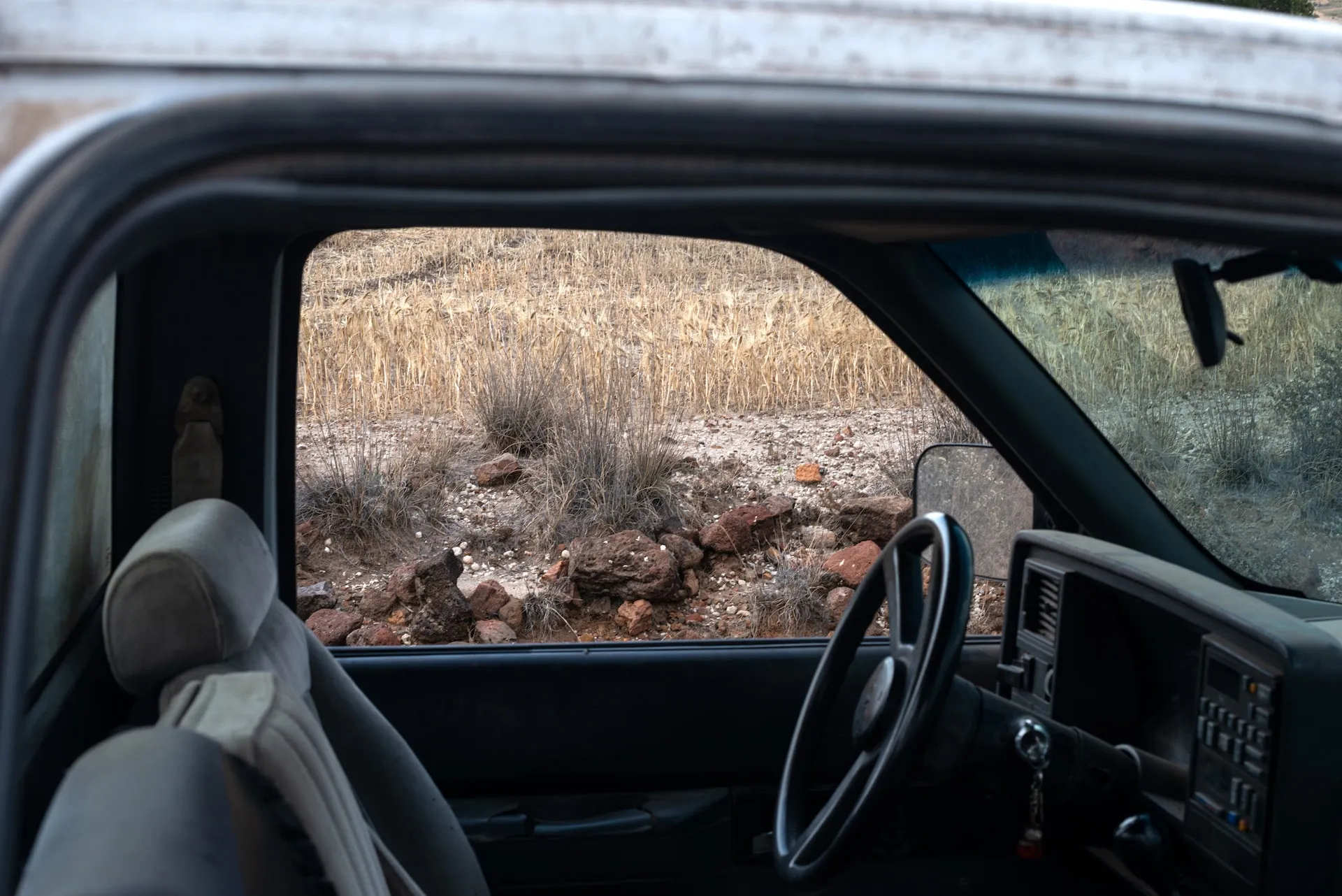 El día donde la humanidad agota el presupuesto anual de la Naturaleza.