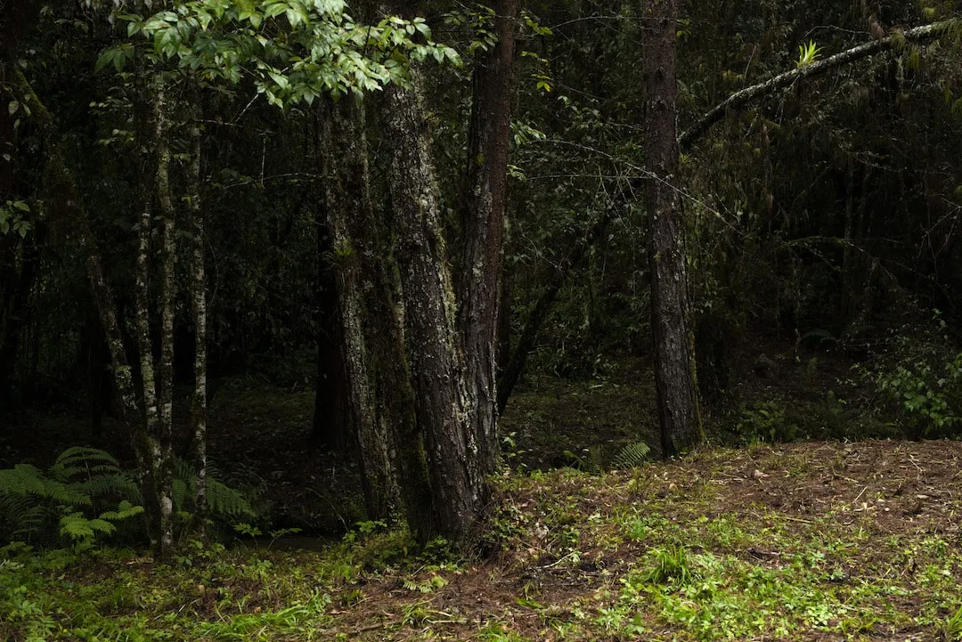 Conserve, restore and exploit: The fate of ecosystems.
