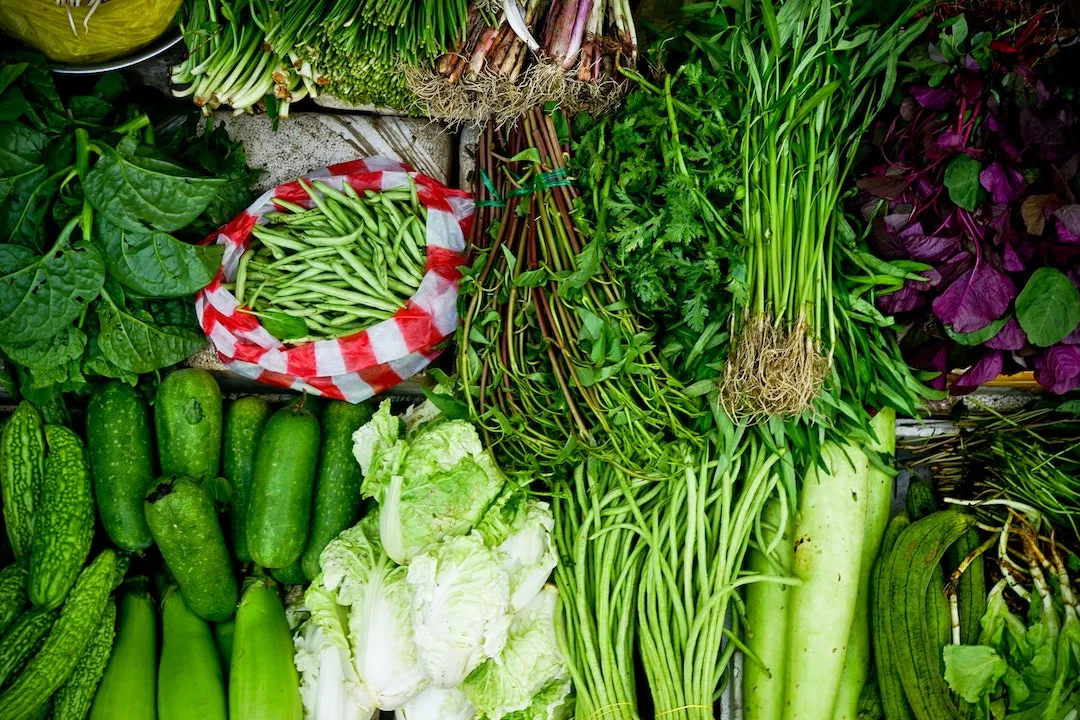 Regenerative or Organic Farming: What's the Difference?