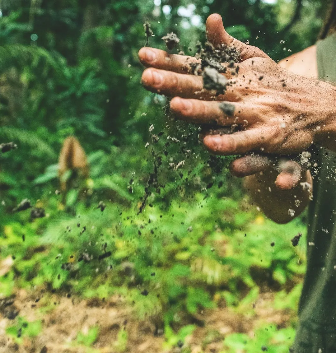 Agroecology: Connecting the Dots of What We Grow