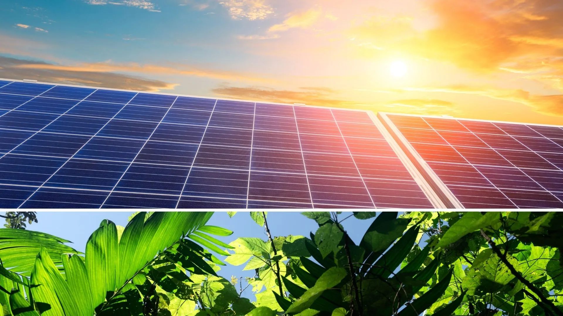 The clean technology that shines ever brighter