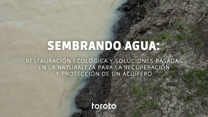 Sembrando agua: restauración ecológica y soluciones basadas en la naturaleza para la recuperación y protección de un acuífero