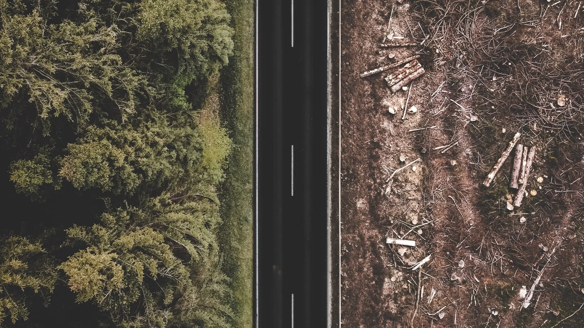 Land use change: what it is and why is it accelerating the climate crisis